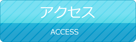 access-button